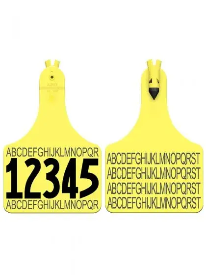 C10-3-420x560-1.webp