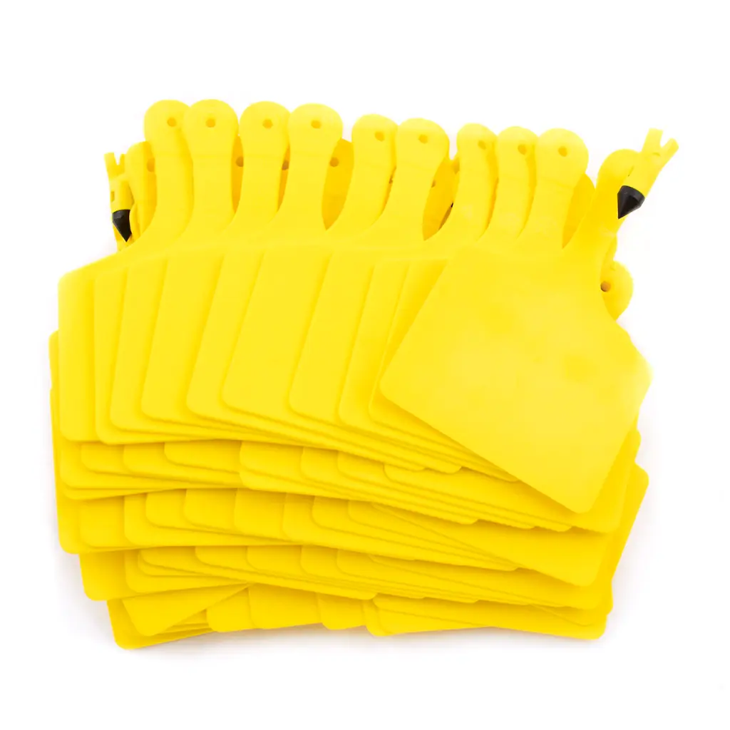 0021386_120733_01.webp
