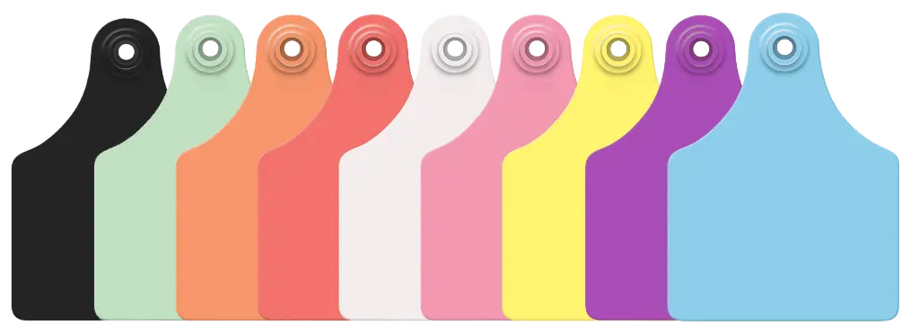 GXF-BLANK-GROUP.webp
