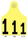 C2-2-420x560-1.webp