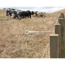 515Wx515H-webp-RingTop-Offset-Cattle-fence-4811.webp