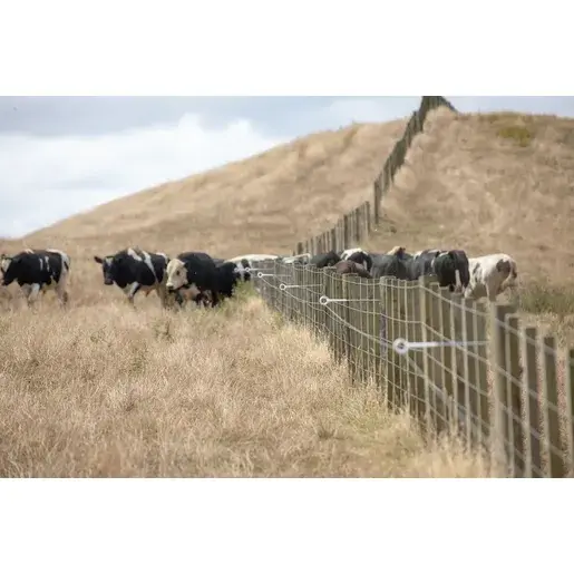515Wx515H-webp-RingTop-Offset-Cattle-fence-4805.webp