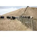515Wx515H-webp-RingTop-Offset-Cattle-fence-4805.webp