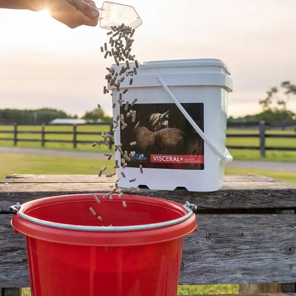 visceral-for-gut-support-in-horses-mad-barn-equine.webp