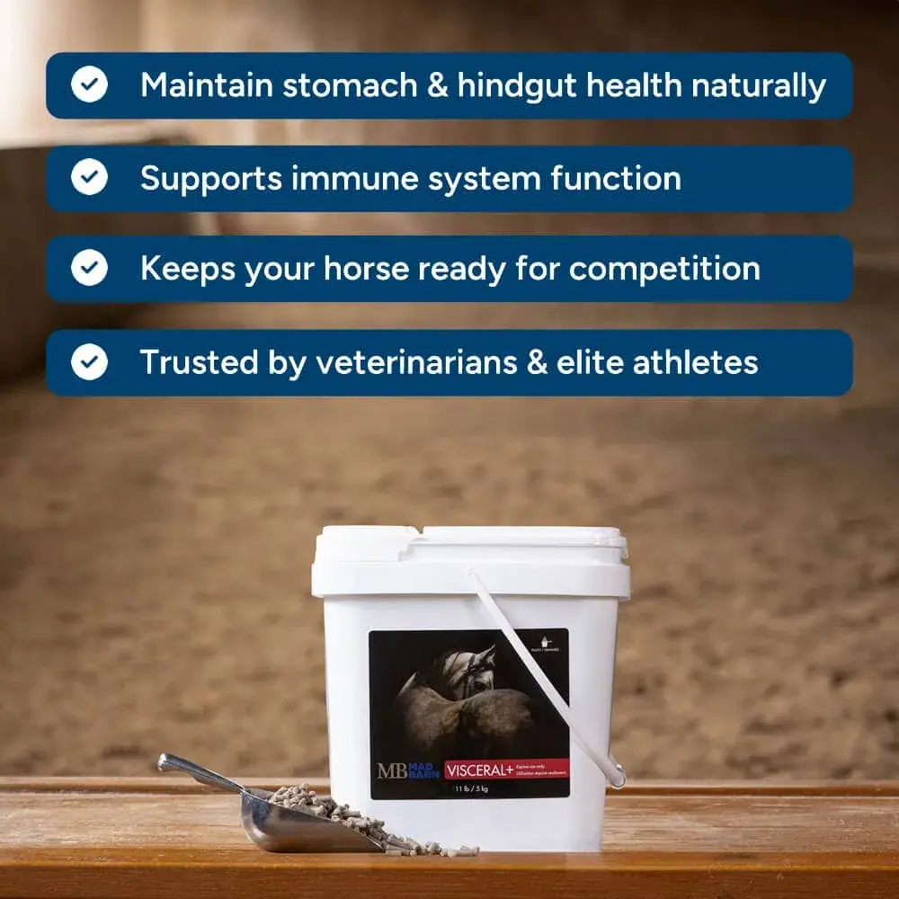 visceral-gut-supplement-for-horses-natural-stomach-hindgut-health-mad-barn-equine-1000.webp
