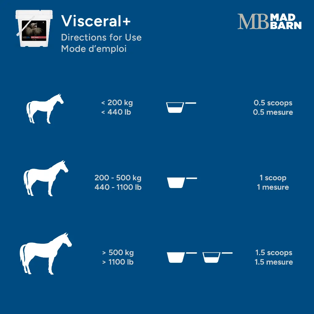 visceral-for-gut-health-directions-for-use-horse-supplement-mad-barn.webp