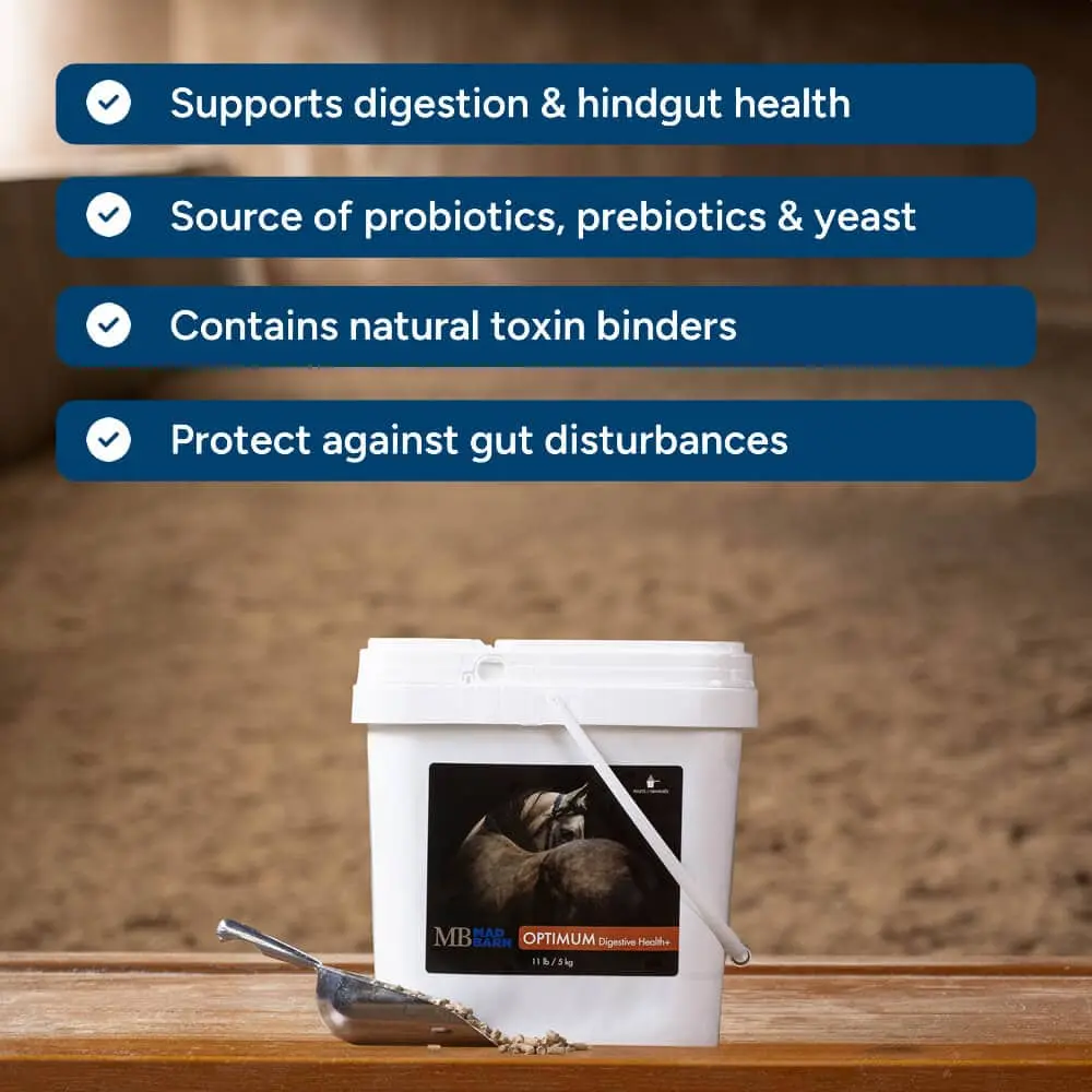 optimum-digestive-health-supplements-for-horses-gut-health-pellets-mad-barn-equine-1000.webp