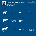 optimum-digestive-health-probiotic-prebiotic-directions-for-use-horse-supplement-mad-barn.webp