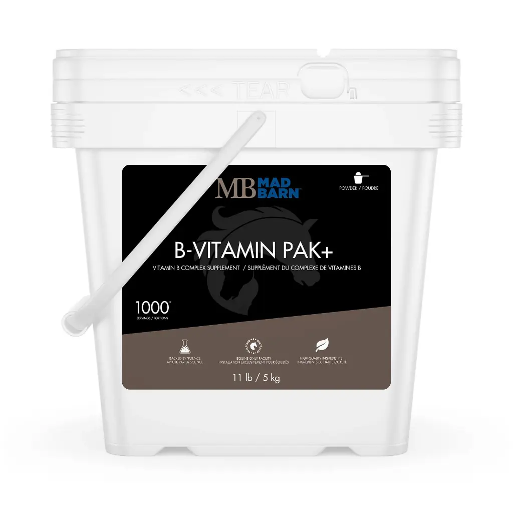 b-vitamin-pak-5-kg-equine-vitamin-supplement-with-vitamin-b-complex-mad-barn-2000.webp