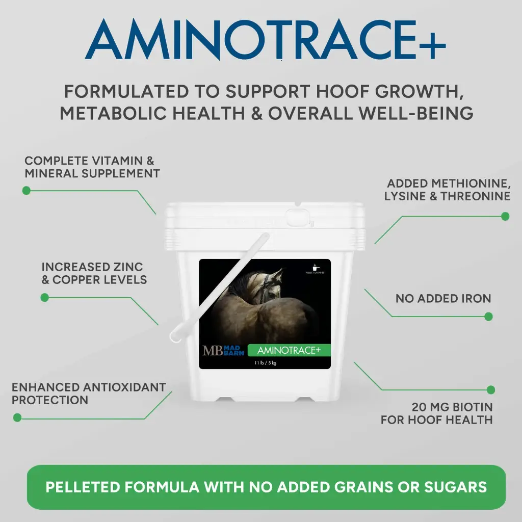 aminotrace-vitamin-and-mineral-supplement-for-horses-benefits-mad-barn-equine-usafw_.webp