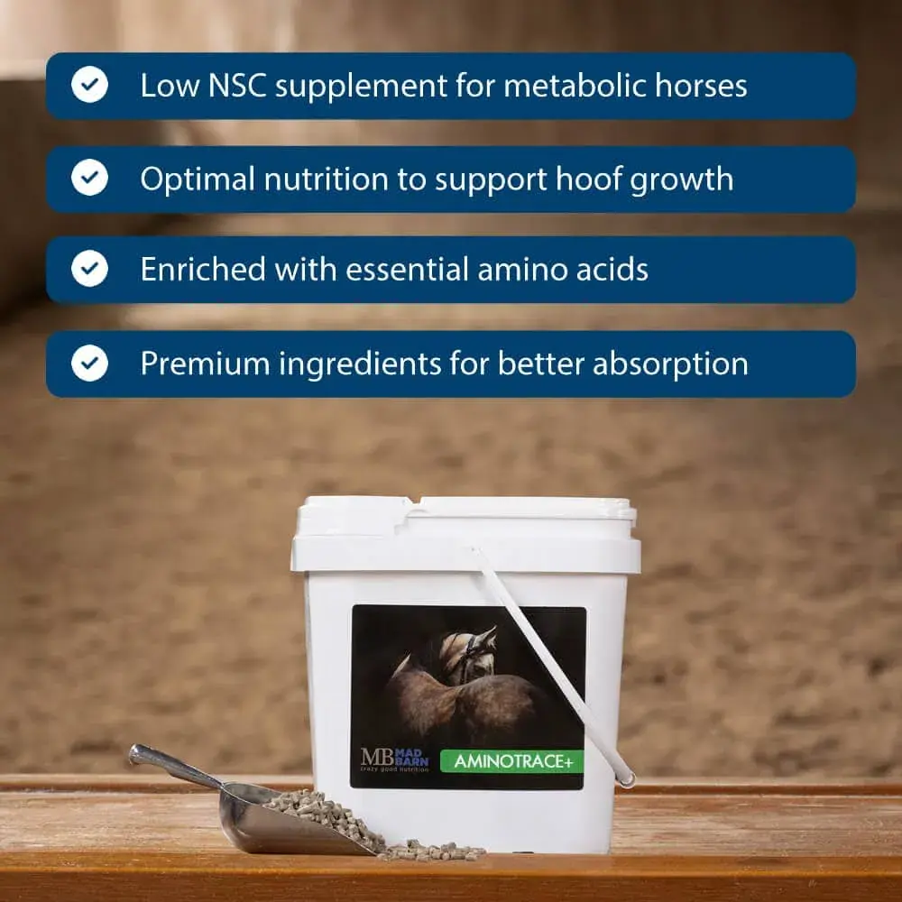 aminotrace-vitamin-and-mineral-supplement-for-horses-hoof-health-mad-barn-equine-usa-1000fw_.webp