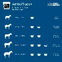 aminotrace-vitamin-mineral-supplement-directions-for-use-horse-supplement-mad-barn.webp