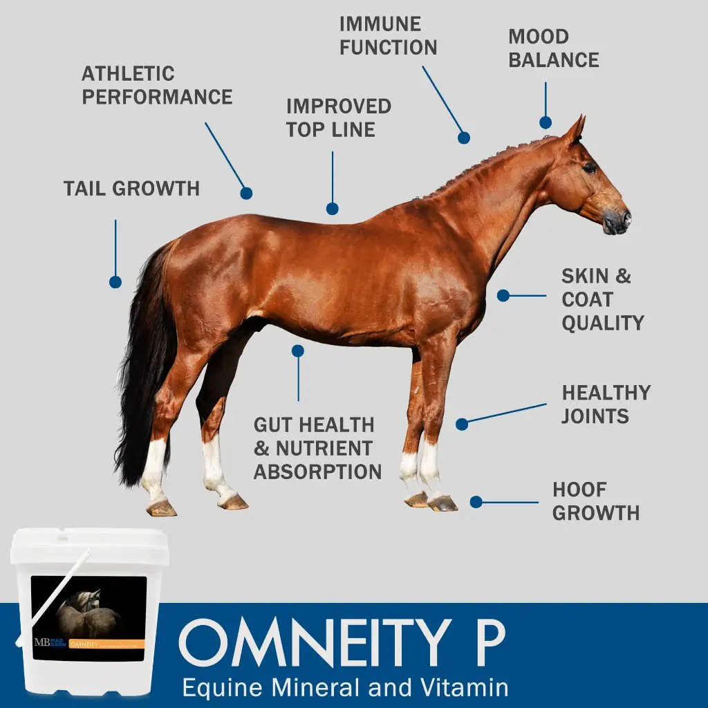 omneity-pellets-equine-mineral-vitamin-supplement-benefits-for-horses-mad-barn-equine.webp