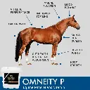 omneity-pellets-equine-mineral-vitamin-supplement-benefits-for-horses-mad-barn-equine.webp