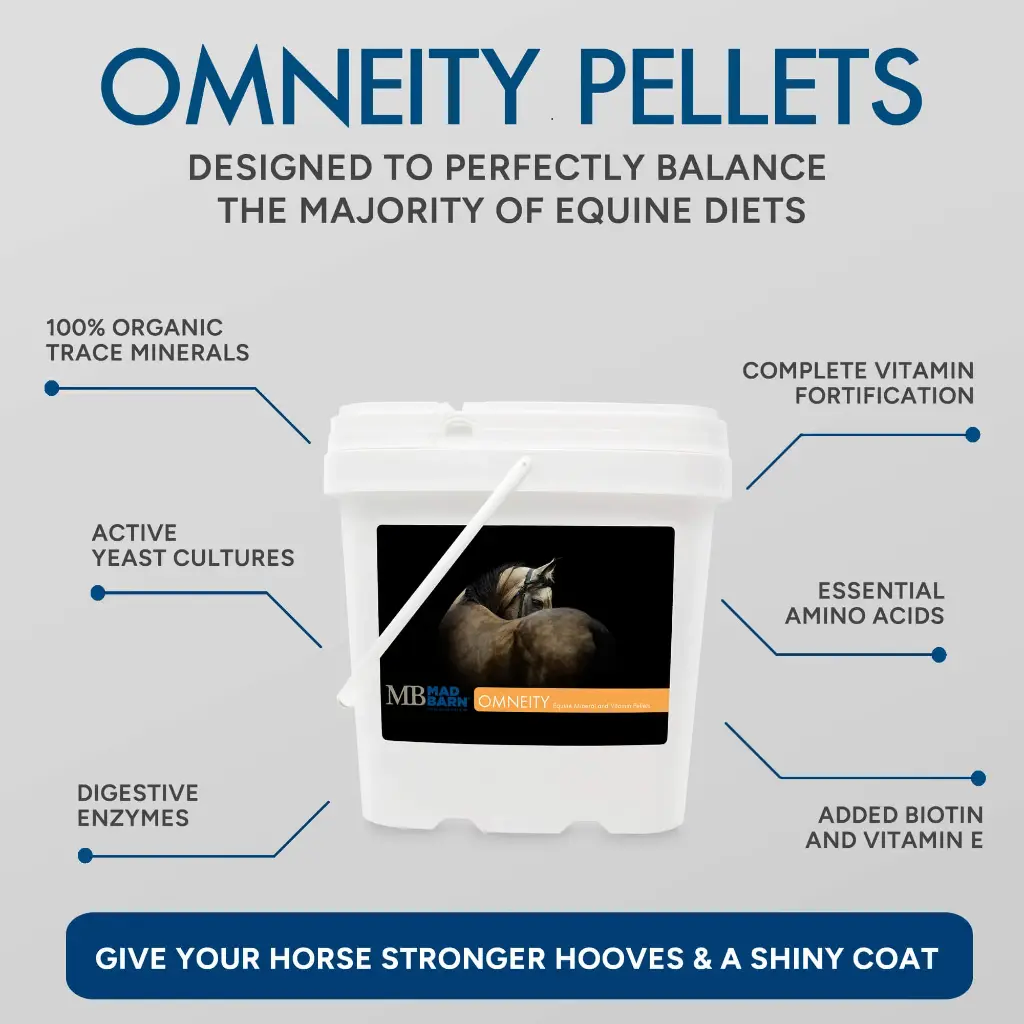 omneity-pellets-vitamin-and-mineral-supplement-for-horses-benefits-mad-barn-equine (1).webp
