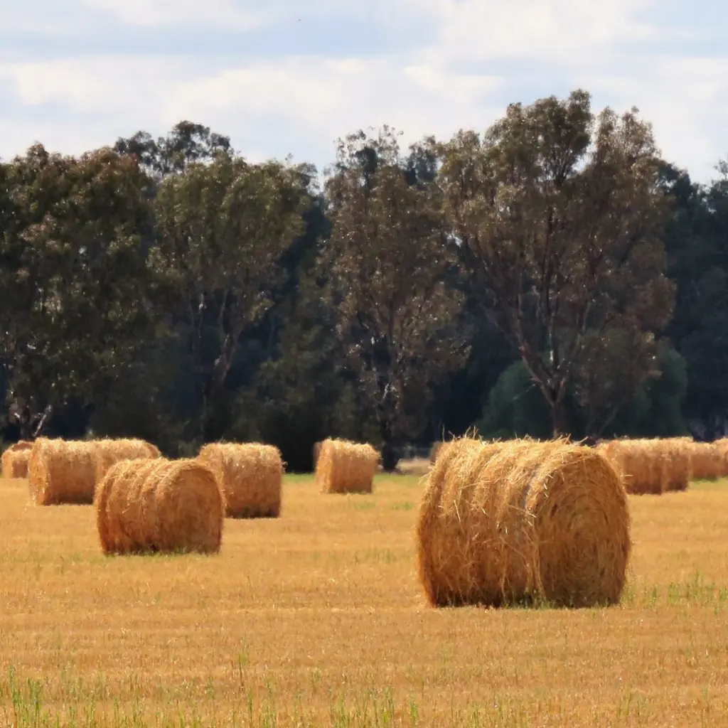 02_RB-Twine-SQ-1030x1030.webp
