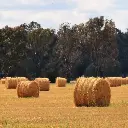 02_RB-Twine-SQ-1030x1030.webp
