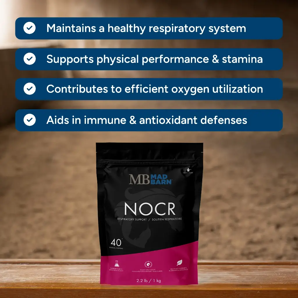 nocr-supplement-for-horses-respiratory-health-mad-barn-equine-2000-1.webp