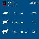 nocr-directions-for-use-horse-supplement-mad-barn.webp