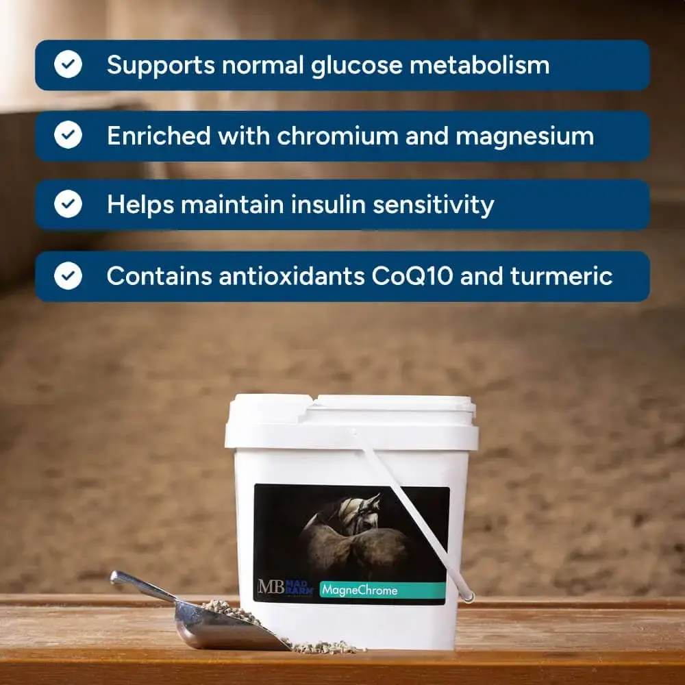 magnechrome-supplement-for-horses-metabolic-health-mad-barn-equine-1000.webp