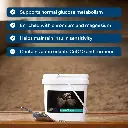 magnechrome-supplement-for-horses-metabolic-health-mad-barn-equine-1000.webp