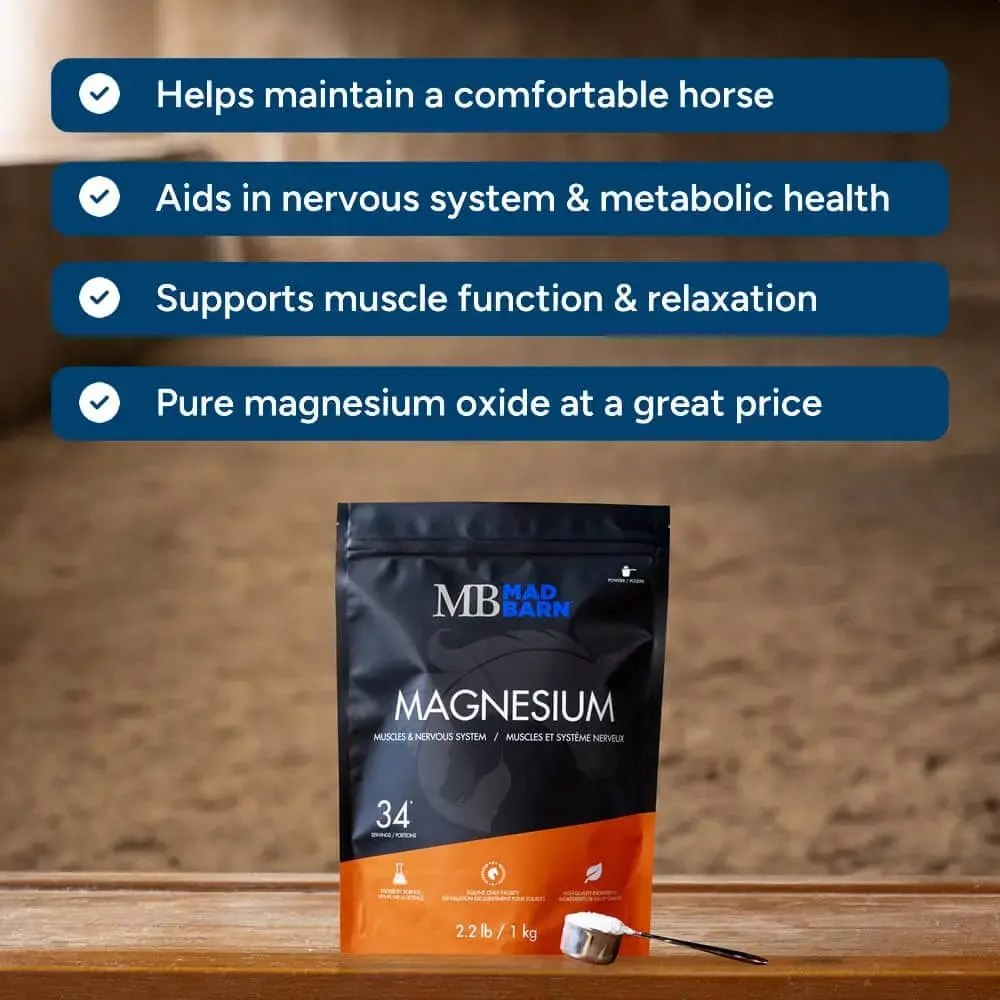 magnesium-supplement-for-horses-calming-powder-mad-barn-equine-1000.webp
