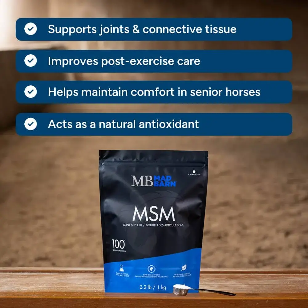msm-powder-for-horses-joint-supplement-mad-barn-equine-1000.webp