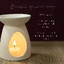 Be Celebrated Simmer Melt, Natural Citrus Floral Wax  Cubes 3.webp