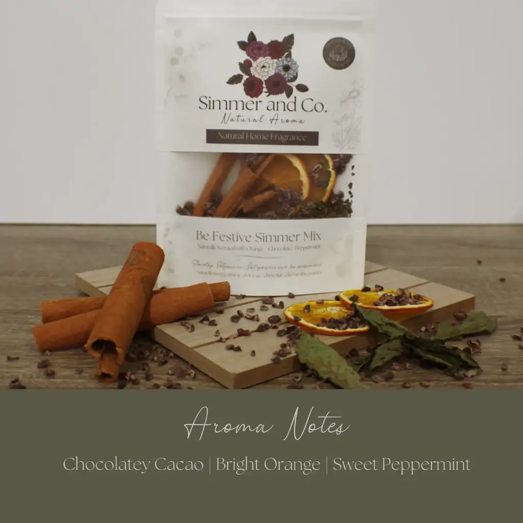 Be Festive Simmer Pot 4.webp