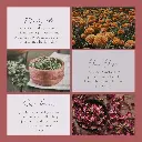 Botanical Simmer Bath Tea 4.webp