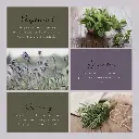 Botanical Simmer Bath Tea 5.webp