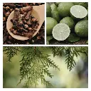 Be Northern Simmer Pot Mix, Natural Wooded Citrus Aroma 2.webp