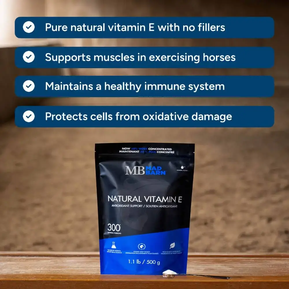 natural-vitamin-e-supplements-for-horses-powdered-supplement-mad-barn-equine-1000.webp