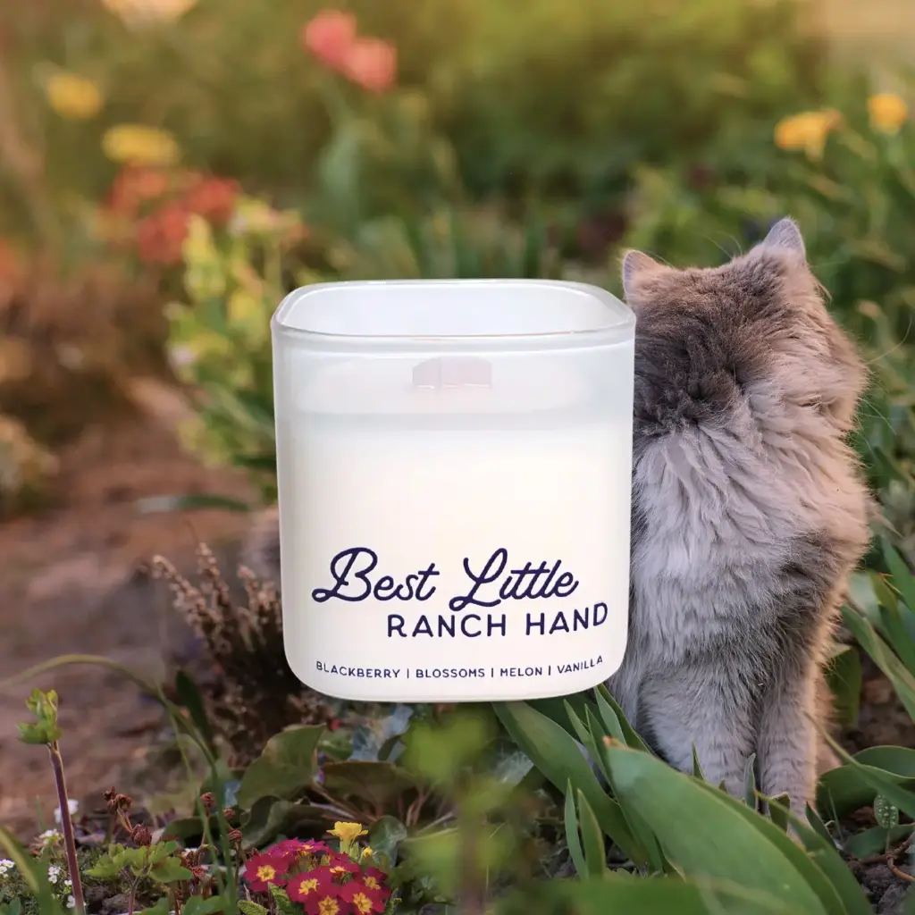 Best Little Ranch Hand 2.webp