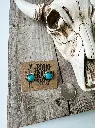 Western Mini Stone Stud Earrings - Heart Square Circle Bar 4.webp