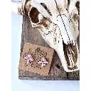 Western Stone Clover Stud Earrings 2.webp