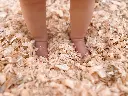 EC shavings 1.webp