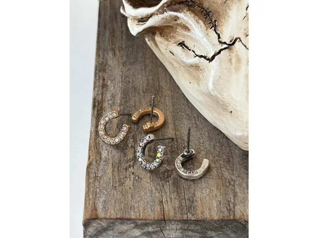 Dainty Western Style Horseshoe with Rhinestone Earrings.webp