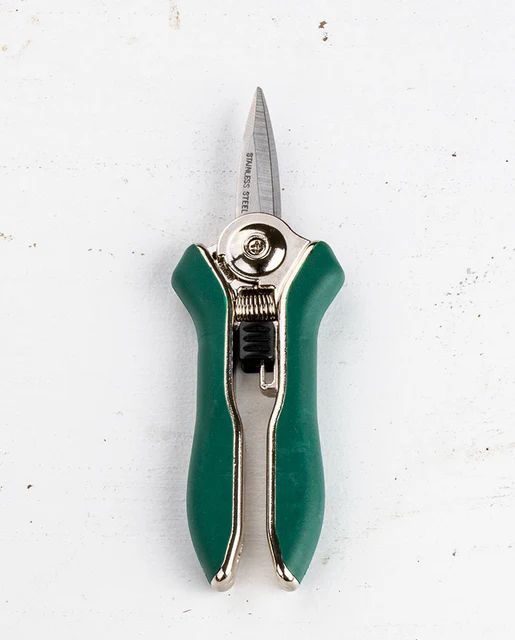 Pinebush Precision Trimmer Pruner