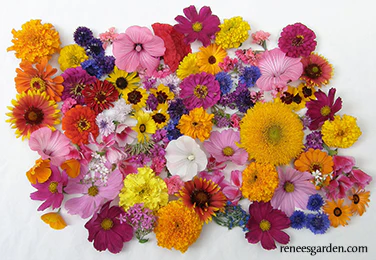 Renee's Garden Scatter Can - Bouquet