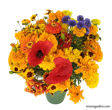 Renee's Garden Scatter Can - Bouquet