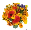 Renee's Garden Scatter Can - Bouquet