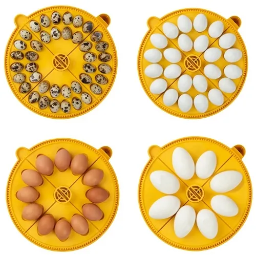 Brinsea Maxi 24 EX 4.webp