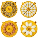 Brinsea Maxi 24 EX 4.webp