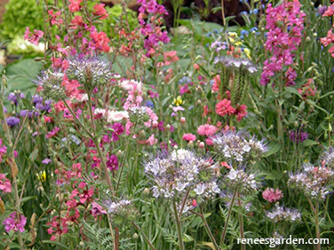 Renee's Garden Scatter Can - Pollinators