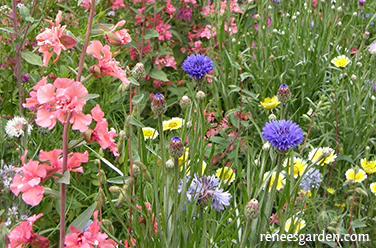 Renee's Garden Scatter Can - Pollinators