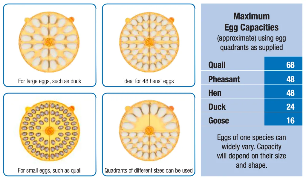 Screenshot 2026-01-28 at 11.16.49 PM.webp