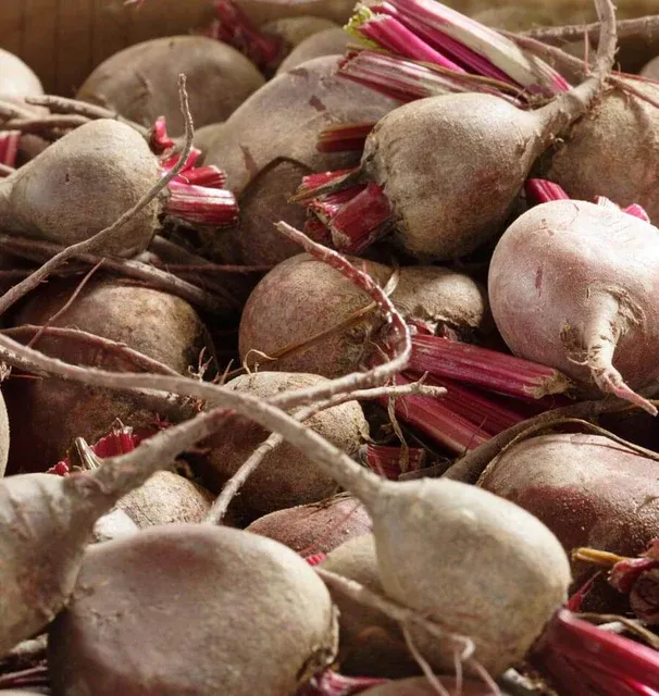 BT161-3_x640_crop_center Detroit Supreme SKU- BT161  1.webp