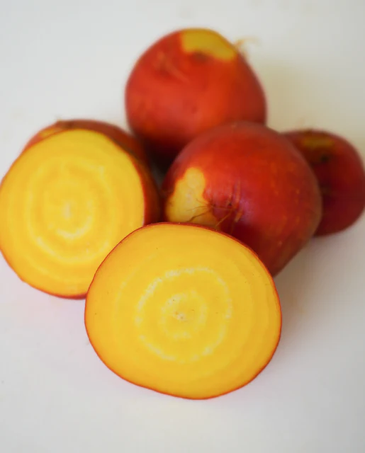 WCS Beets - Golden Boy