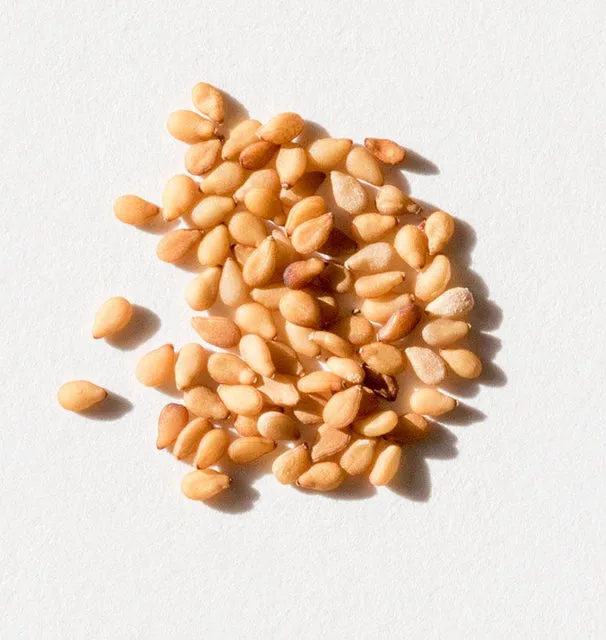 Golden-Sesame-Seeds-0X7A9304_x640_crop_center.webp